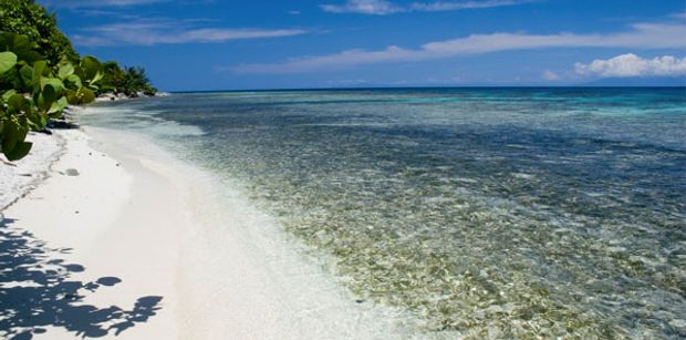 A Snapshot of Paradise in the Caribbean