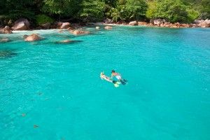Seychelles snorkeling