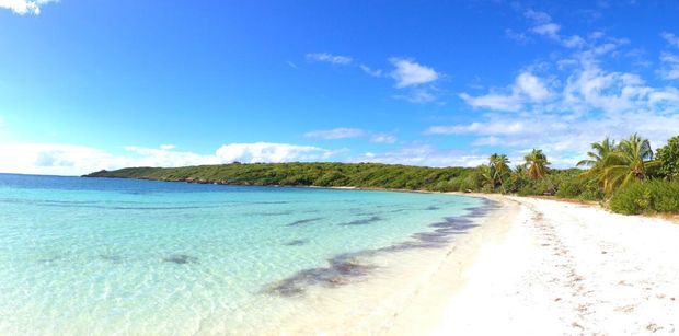 Find your own paradise on Vieques, the ultimate luxury yacht charter stop off!