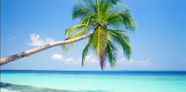 The natural beauty of Tulum and the Mayan Riviera