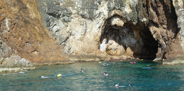 Snorkelling at the Caves, Norman Island