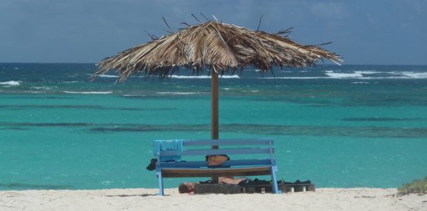 A shaded Bench at Loblolly Bay