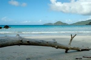 Tropical Island Paradise in the Caribbean