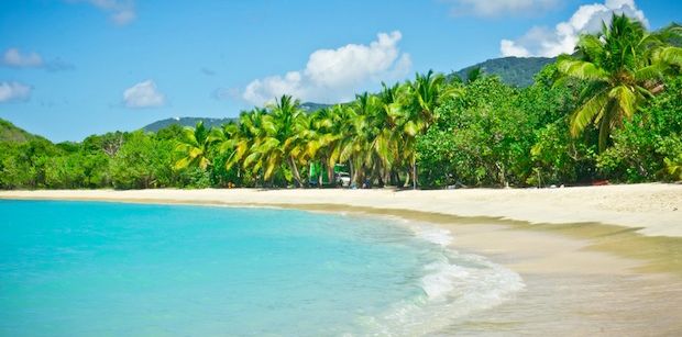 Sandy beaches lined with palm trees on Tortola, British Virgin Islands