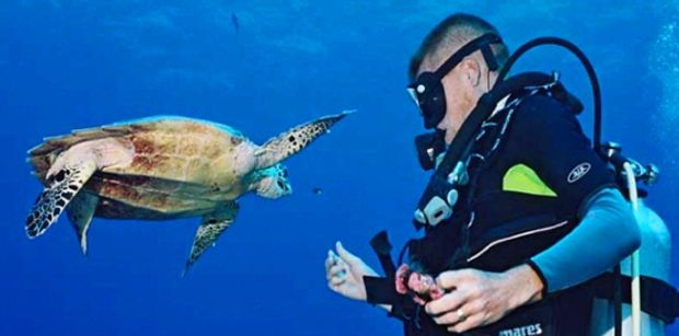 dive turt1