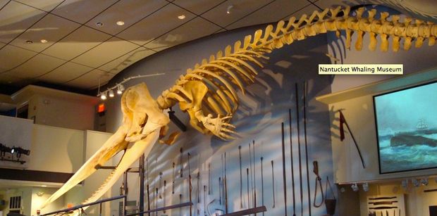 Nantucket Whaling museum