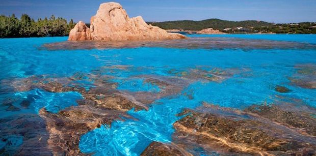 10981953_918677568170736_1189571545687047515_n