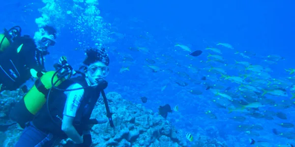 borabora_diving_photobyantonioguerra