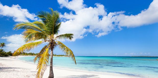 Explore the beaches of the Bahamas!