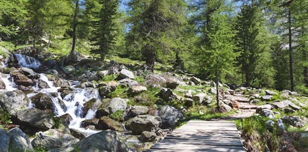 shutterstock_299893271