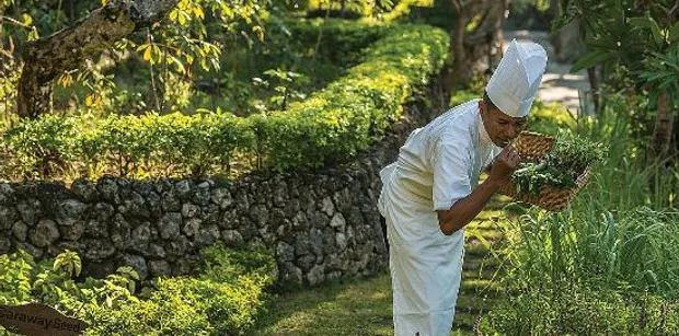 jimbaran-bay-cooking