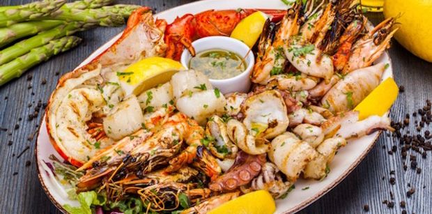 Ibiza Gourmet Yacht Charter