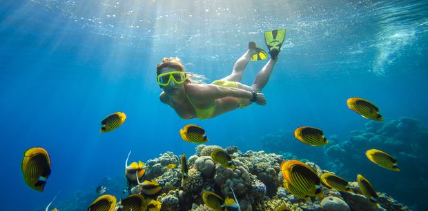 BVI Snorkeling and Diving