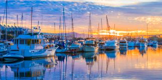 Fueling the Future:What is Best for the Boating Industry?