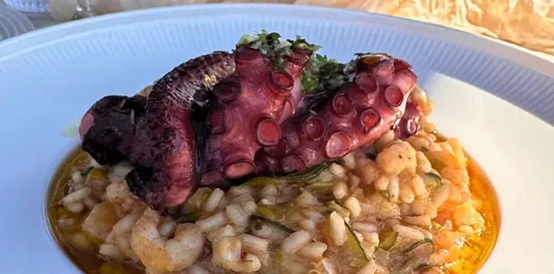 Plate of risotto with grilled octopus