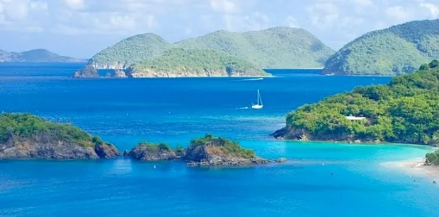 The Amazing BVI