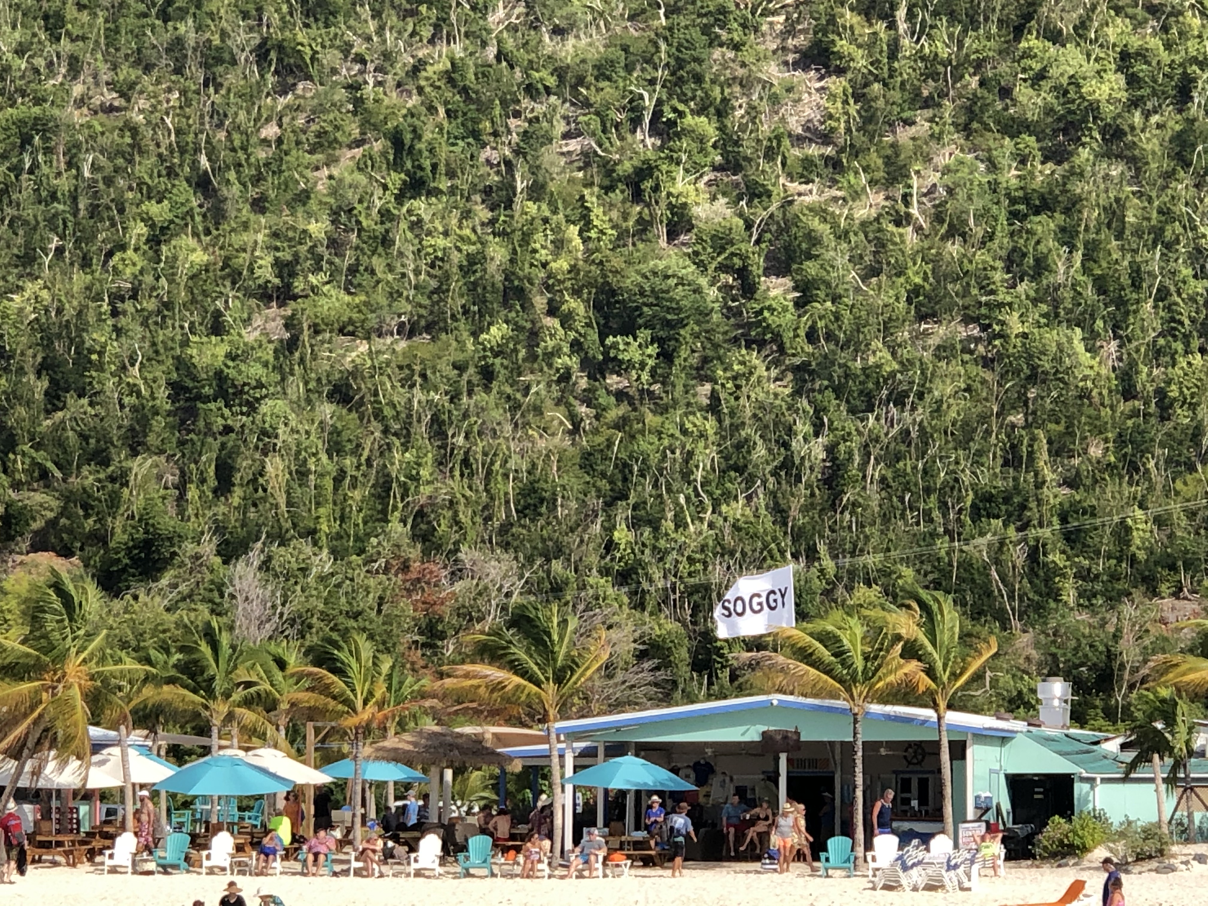 Chartering A Yacht To Foxy S And The Soggy Dollar Bar In The Bvi