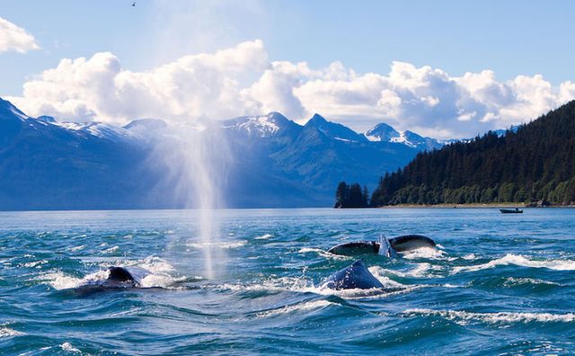 Luxury Crewed Yacht Charter Alaska