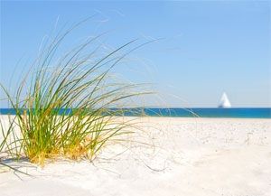Gorgeous Sandy Beaches of Florida