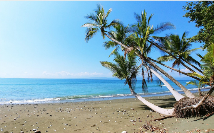 Enjoy the Beach