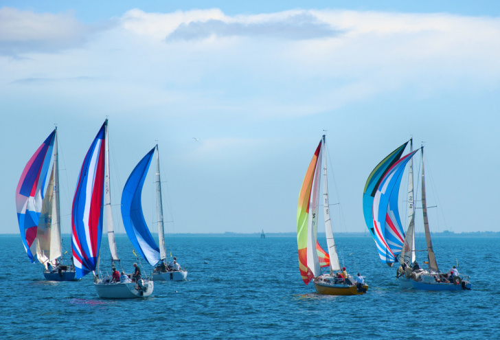 regatta, sailboat race, cowes, sailing event