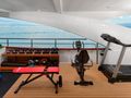 OHANA Custom 49m - gym facility OHANA Custom 49m - gym facility