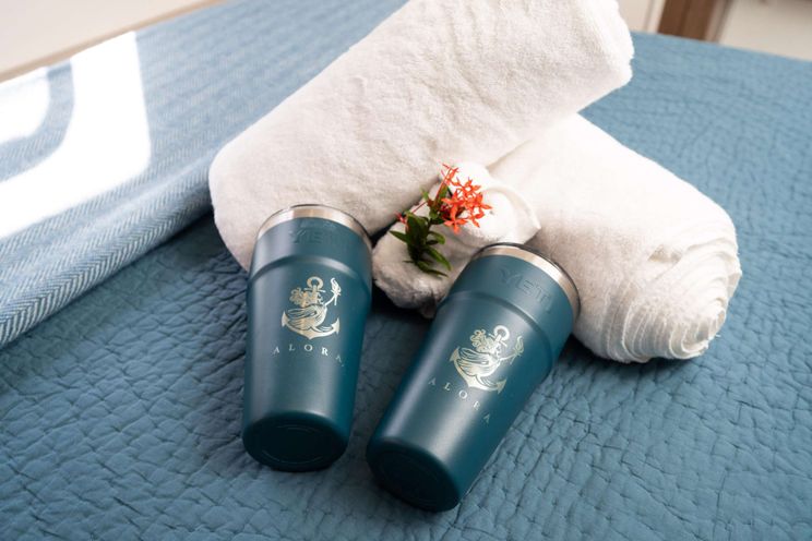 Charter Yacht ALORA - Bali 4.8 - 3 Cabins - Tortola - Anegada - Virgin Gorda - BVI - Caribbean