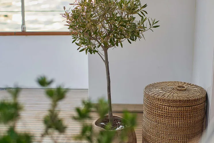 Charter Yacht SOUNION II - Benetti 103 - 4 Cabins - Athens - Mykonos - Paros - Cyclades - Greece