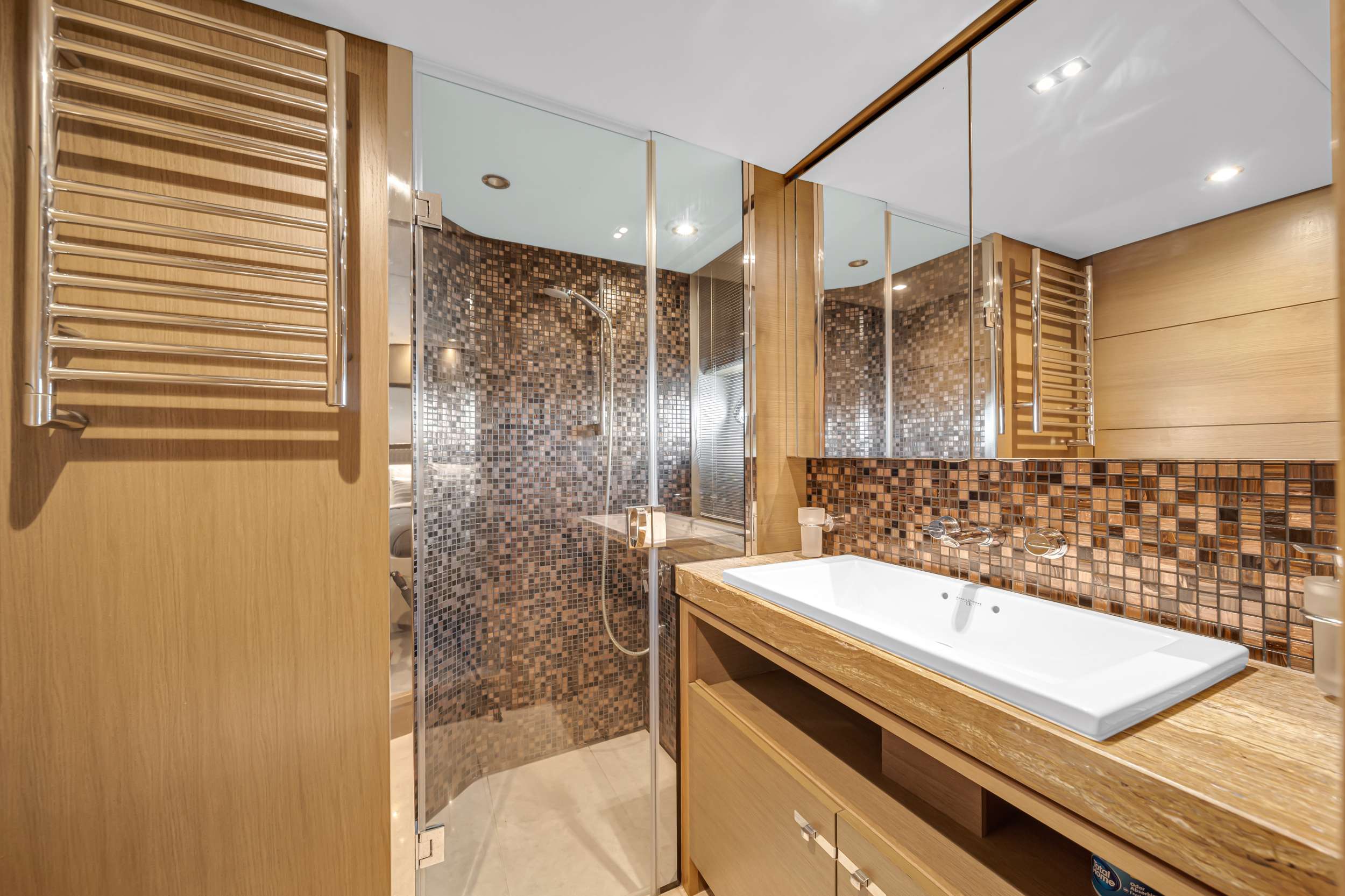 FREEDOM Princess Y88 - master cabin bathroom