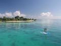 Dreaming On - Paddleboarding at Moho Caye Dreaming On - Paddleboarding at Moho Caye