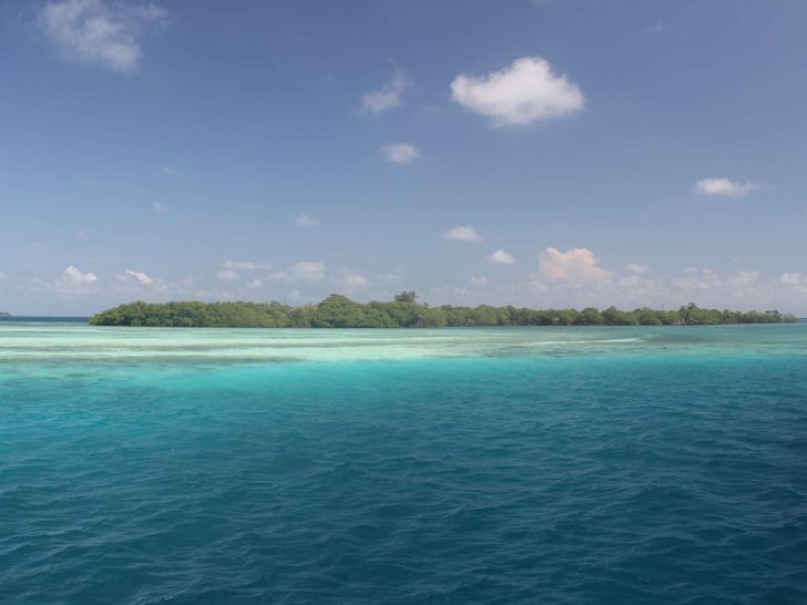 Dreaming On - Funk Caye Dreaming On - Funk Caye