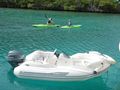 New Tender New Tender