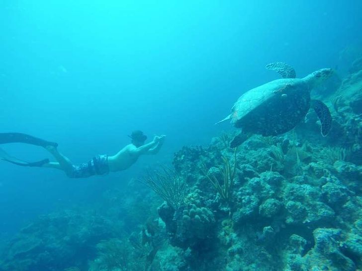 FOXY LADY Lagoon 620 - freediving FOXY LADY Lagoon 620 - freediving