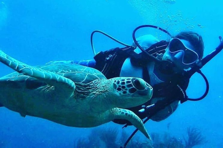 Charter Yacht ODYSSEA - Fountaine Pajot Sanya 57 - 4 Cabins - Tortola - Anegada - Virgin Gorda - BVI - Caribbean