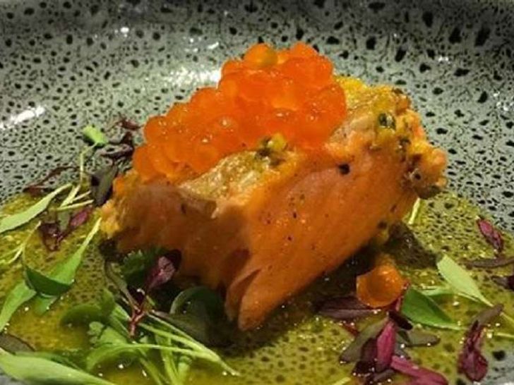 ORION Catana 90 Cuisine King Salmon ORION Catana 90 Cuisine King Salmon