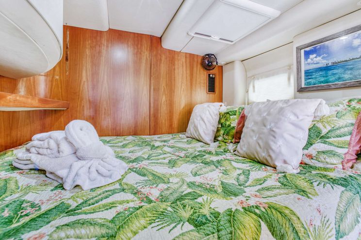 Charter Yacht DAYDREAM - Leopard 62 - 4 Cabins - Tortola - Anegada - Virgin Gorda - British Virgin Islands - Caribbean