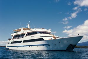 GALAPAGOS SEA STAR JOURNEY - 8 Cabins - Galapagos Islands