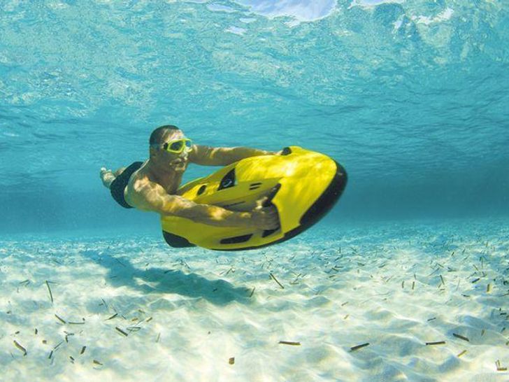 Sea Bob Sea Bob