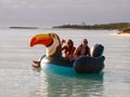 TURQUOISE TURTLE Voyage 50 - inflatable toucan TURQUOISE TURTLE Voyage 50 - inflatable toucan