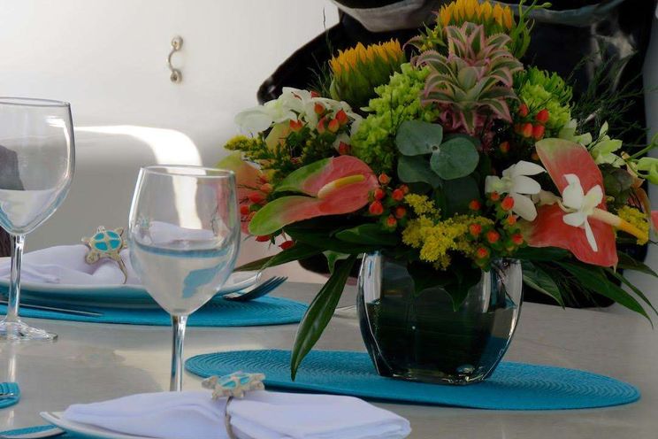 Charter Yacht TURQUOISE TURTLE - Voyage 500 - 3 Cabins - Tortola - Anegada - Virgin Gorda - BVI - Caribbean