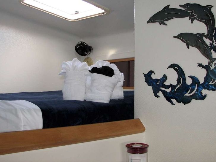 TURQUOISE TURTLE Voyage 50 - cabin 2 TURQUOISE TURTLE Voyage 50 - cabin 2