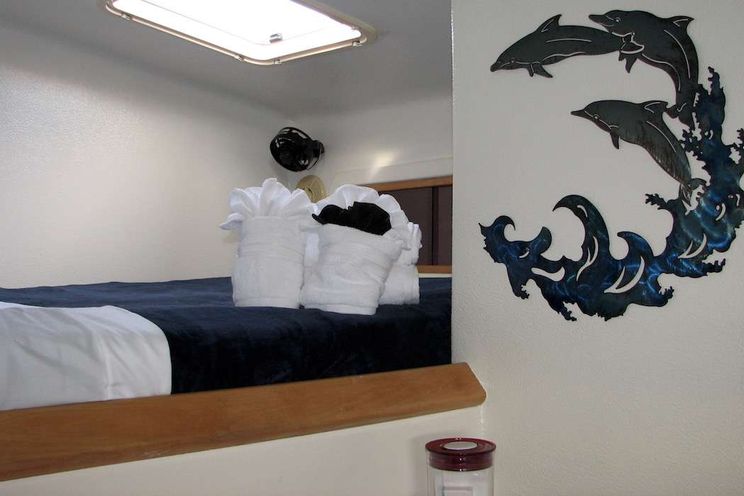 Charter Yacht TURQUOISE TURTLE - Voyage 500 - 3 Cabins - Tortola - Anegada - Virgin Gorda - BVI - Caribbean