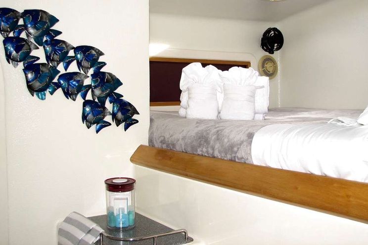 Charter Yacht TURQUOISE TURTLE - Voyage 500 - 3 Cabins - Tortola - Anegada - Virgin Gorda - BVI - Caribbean