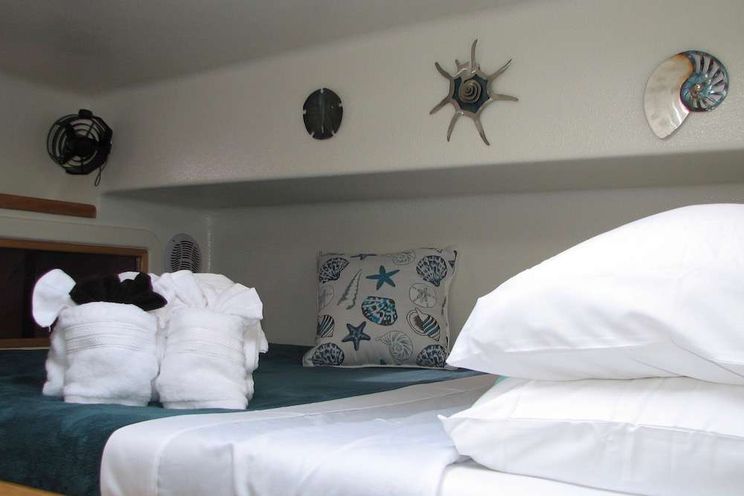 Charter Yacht TURQUOISE TURTLE - Voyage 500 - 3 Cabins - Tortola - Anegada - Virgin Gorda - BVI - Caribbean