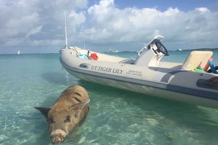 Charter Yacht TIGER LILY - Lagoon 620 - 4 Cabins - Nassau - Exumas - Bahamas