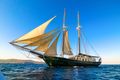 ARKTOS - Schooner 113 - 5 Cabins - Athens - Greece - Turkey