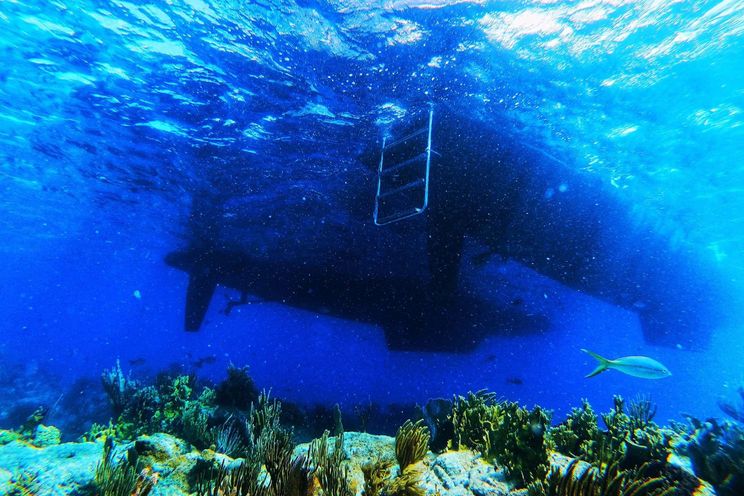 Charter Yacht BAGHEERA L620 - Lagoon 620 - 4 Cabins - Tortola - Anegada - Virgin Gorda - BVI