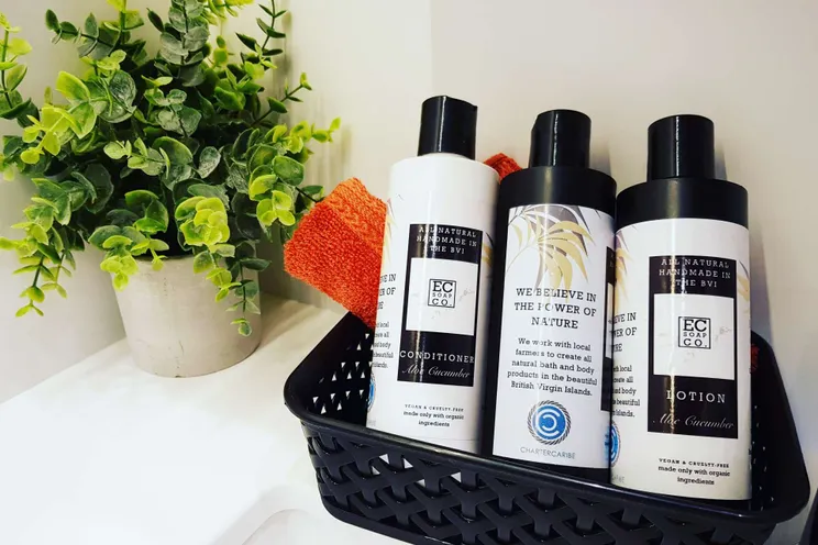 Charter Yacht ISLAND HOPPIN - Lagoon 52 - 4 Cabins - St Thomas - St John - St Croix