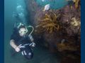 ISLAND HOPPIN' - Lagoon 52 - Scuba Diving Activities