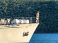 PLAY FELLOW - Custom Build 30 m,bow PLAY FELLOW - Custom Build 30 m,bow